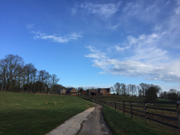Vue de la randonnée Promenade au pays de Bourvil au départ de Canville-les-2-Eglises, 76