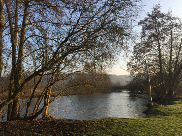 Vue de la randonnée Etangs et coteaux de la Risle au départ de Condé-sur-Risle, 27