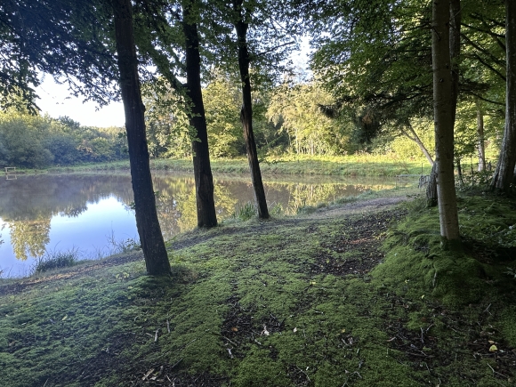 Vue de la randonnée Circuit du Bois de la Caboche au départ de St-Pierre-du-Bosguérard, 27
