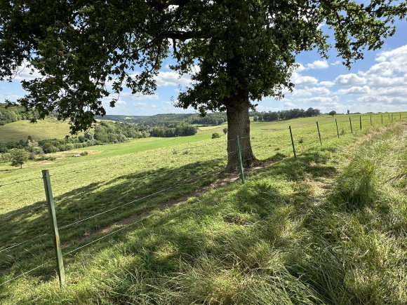 Vue de la randonnée Belle boucle jusqu'au Héron par Boissay, Rebets et St Aignan-sur-Ry au départ de Boissay, 76