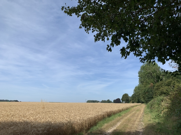 Vue de la randonnée boucle dans la région dieppoise entre Scie et Vienne au départ de Colmesnil-Manneville, 76