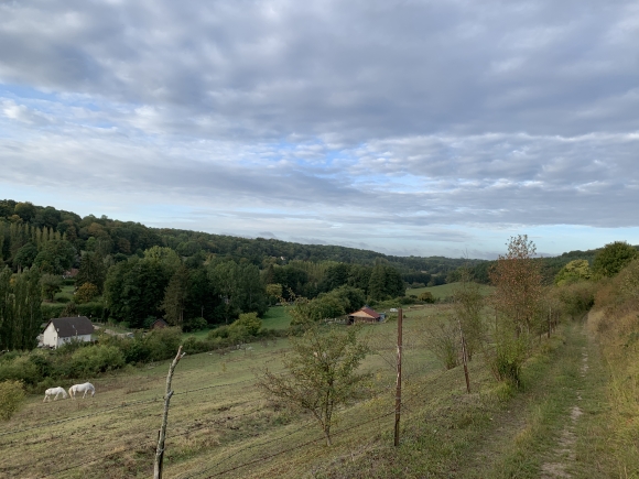 Vue de la randonnée Circuit du Dué en Pays de Roumois au départ de St-Germain-de-Pasquier, 27