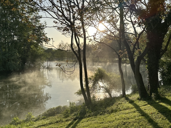Vue de la randonnée Circuit Par monts et par vaux au départ de Montville 2, 76