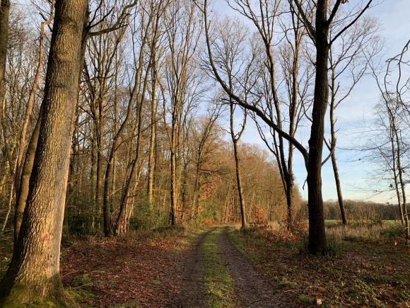 Vue de la randonnée sur les coteaux de la Charentonne au départ de Fontaine l'Abbé, 27