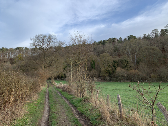 Vue de la randonnée Grosley-sur-Risle au départ de Grosley-sur-Risle, 27