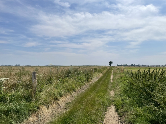 Vue de la randonnée circuit de la Neuvillette près de Boos au départ de La Neuville-Chant-d'Oisel, 76