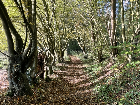 Vue de la randonnée Les coteaux de l'Oison au départ de La Harengère, 27