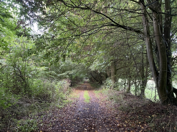 Vue de la randonnée A la recherche du Vert Buisson au départ de Rocquefort, 76