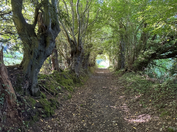 Vue de la randonnée Sur le Chemin de Saint Laurent au départ de Selles 2, 27