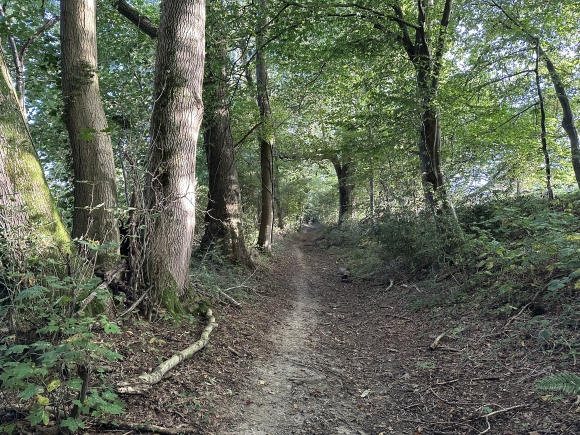 Vue de la randonnée Le Bois de la Brétèque au départ de Ecalles-Alix, 76