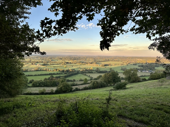 Vue de la randonnée Circuit des Haras au départ de Lessard-et-le-Chêne, 14