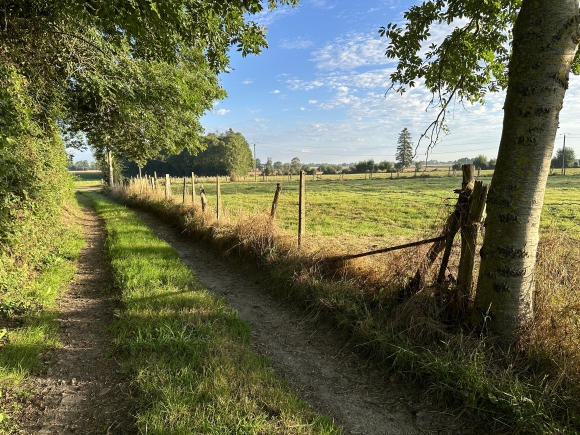 Vue de la randonnée Circuit des Épines au départ de Morsan, 27