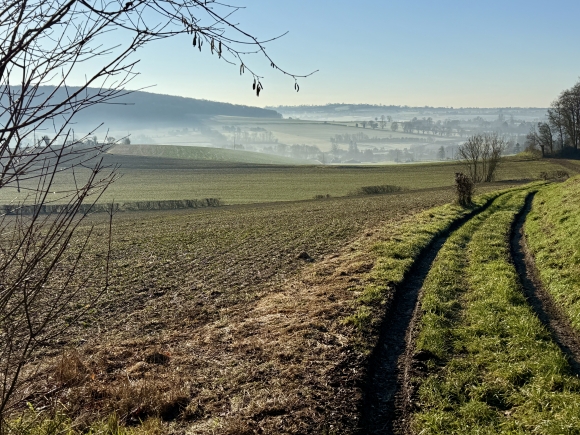 Vue de la randonnée Circuit du Mont de Beaussault au départ de Beaussault, 76