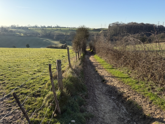 Vue de la randonnée Dans les bois au départ de Bois-Guilbert, 76