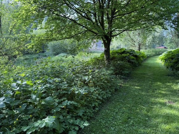 Vue de la randonnée Circuit du Loup et du Goupil au départ de Sainte-Austreberthe 2, 76