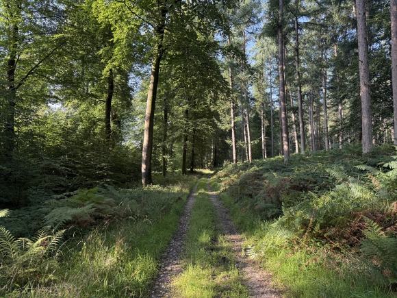 Vue de la randonnée Circuit du Châtelet prolongé au départ de Ardouval 2, 76